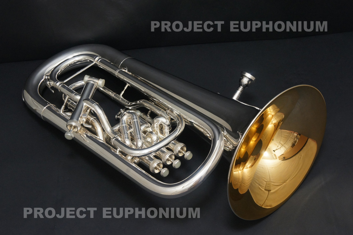 EP28001 ユーフォニアム WILLSON TA2905 BS/GP 特注品 - 中古金管楽器
