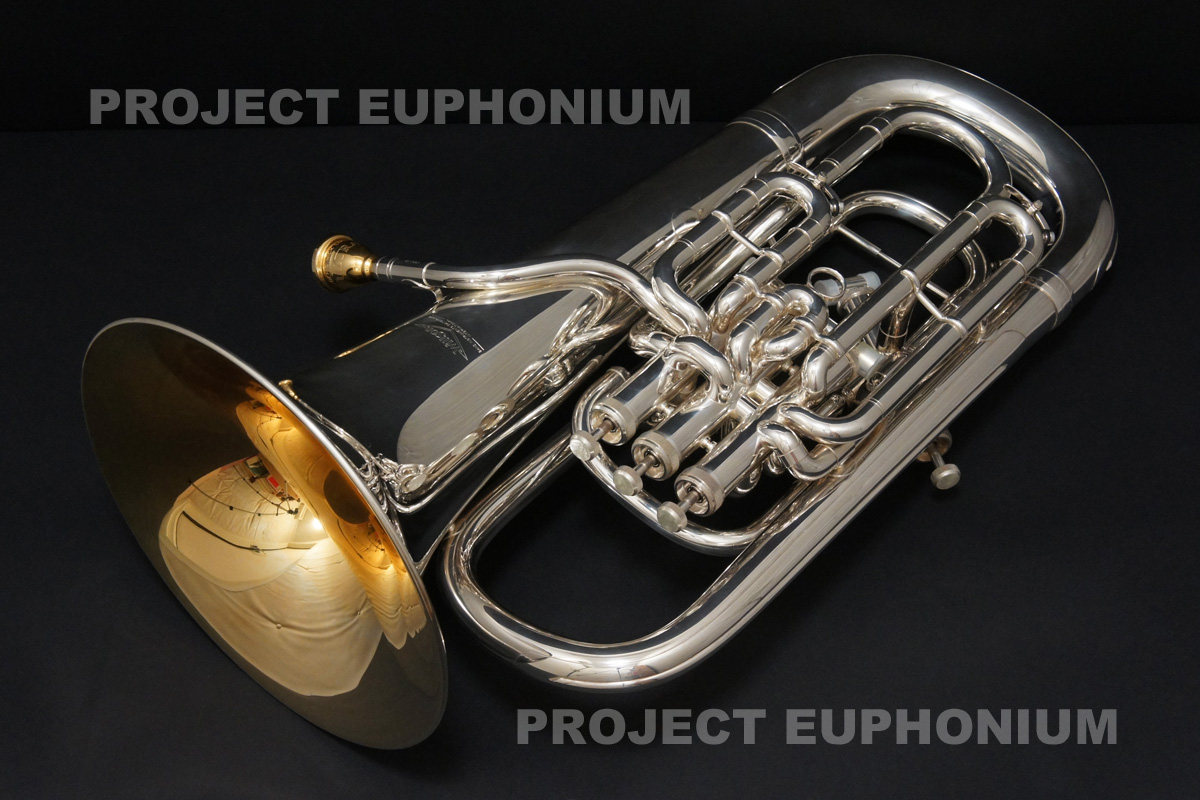 Willson TA2900BS/GP Euphonium with Hard Case Silver Used | eBay